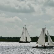 veenhoop-2025-2